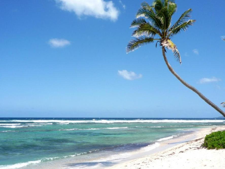 Apartahotel Caribbean Tropicana With Pool - Playa Los Corales 4*